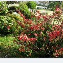 송원농원 이미지