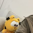 배곧아브뉴프랑센트럴레드 | [배곧 JU보컬스튜디오] 원데이클래스 후기 – “왜 이제야 왔을까?”