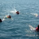 칠포2리 이미지