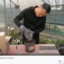 송재필 농장 이미지