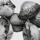 소묘/드로잉 이미지