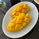 써티나인 | 세부 고래상어 투어 일정 / 오슬롭, 이남바칸 폭보, 모알보알 투어 후기(로컬페이지 오슬롭+모알보알)