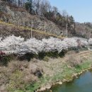 경안천로 이미지