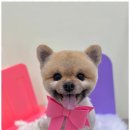 사계절, 멍 이미지