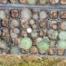 귀동농장 이미지