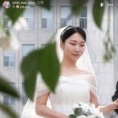 행복한결혼정보센터 루리웹 뉴스보드