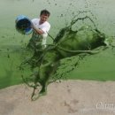 낙동강물환경연구소 이미지