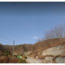 트인자리애 3차 이미지