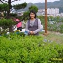 더국희