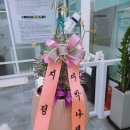 도그토피아 이미지