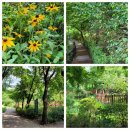 마음놀이터 캘리그라피(캘리그라피 2급) 이미지