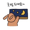 시소 펫 이미지