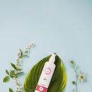 윤앤퍼피 이미지