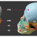 순수한의원 이미지