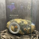 함평한우마을