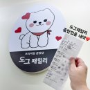 대구강아지분양도그패밀리