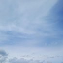 2025.5.23. 서유럽여행.피렌체 성 두오모성당 외 이미지