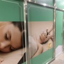 미사랑동물병원 이미지