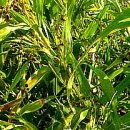 동막1리마을회관 이미지