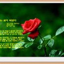 안화고등학교 이미지