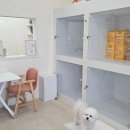 귀엽꾸멍 이미지