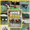풀시즌