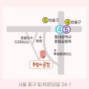 반려식물 원예아트 이미지