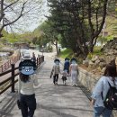 4월 19일 나들이 프로그램 - 봉화객주 화덕피자, 국립백두대간수목원 이미지