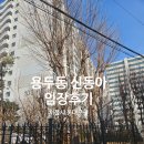 효성동 동아아파트 앞 횡단보도 | [서울 7억대 아파트 임장] 동대문구 용두동 신동아 아파트 임장 후기