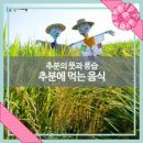 추분(秋分)의 뜻 알아보기. 이미지