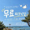 산업로1-5 | 주전 보밑항 피크닉장 명당자리는 어디? 자리별 특징 비교 후기