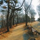 침산공원 이미지
