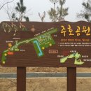 장등공원(바람) 티스토리