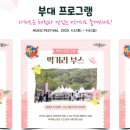 대덕물빛축제 뮤직페스티벌 이미지