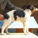 스테이 리네 이미지