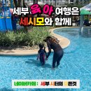 무궁화카써비스 | “괌 대신 세부를 선택한 이유? 한 사람 때문이었습니다” (세부시터 후기)