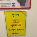 토도수산 | [블챌] !!이기면 낭만 지면 돈낭비!! 제주도 당일치기-수원삼성 승강플레이오프(스포:돈낭비)