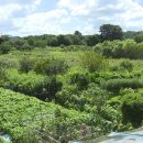 효자4동 주민센터 이미지