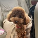 스며들펜션 이미지