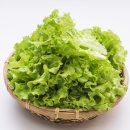 현대자동차(주)품질식당