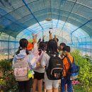 생태교육 이미지