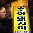 소야돼지야 이미지