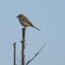 영명환경 이미지