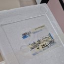 매향농장 이미지