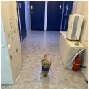 소토보체 | 방배동성인피아노레슨 소토보체에서 음악 여정을 시작하다