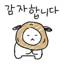 로지아플라워