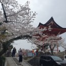 2023-0071 | 준영이 첫 해외여행, 여권 분실을 곁들인 - 벚꽃시즌 교토(feat. 오사카)Part 2