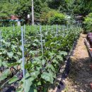 테마민박가든 이미지