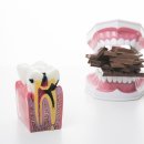 엔치과의원 이미지