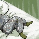 황제 이미지